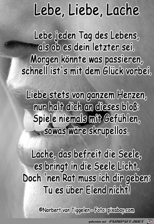 lebe liebe lache 2019