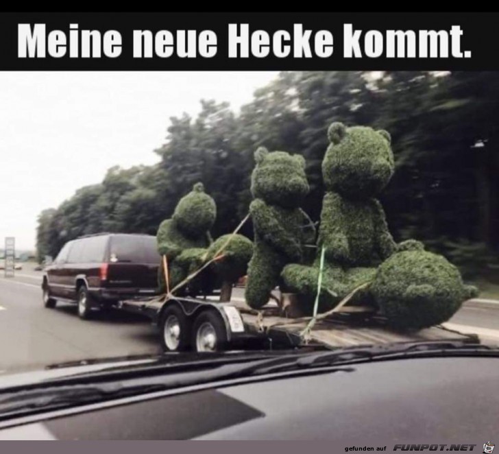Meine neue Hecke kommt Meine neue Hecke kommt