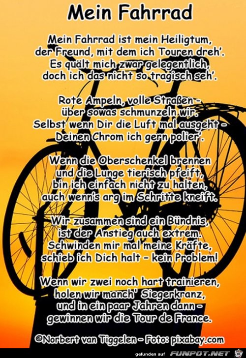 Mein Fahrrad 2019