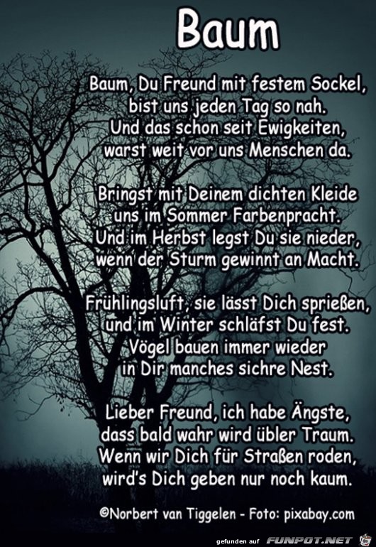 Baum2 2019 Baum2 2019