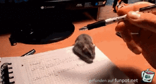 Her mit dem Stift Her mit dem Stift
