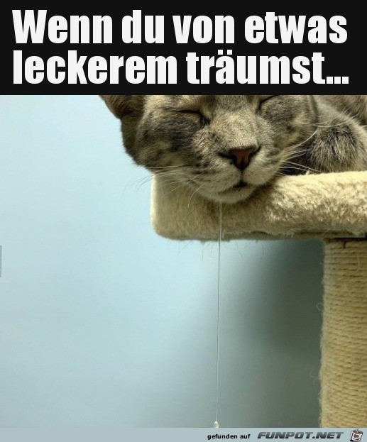 kommt vor kommt vor