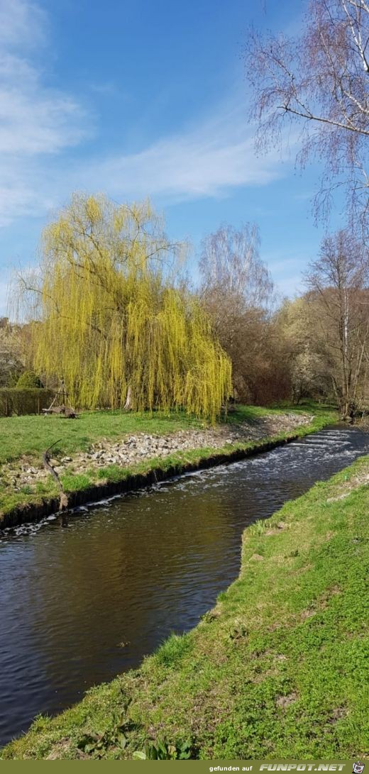 Fruehling am Fluesschen 1