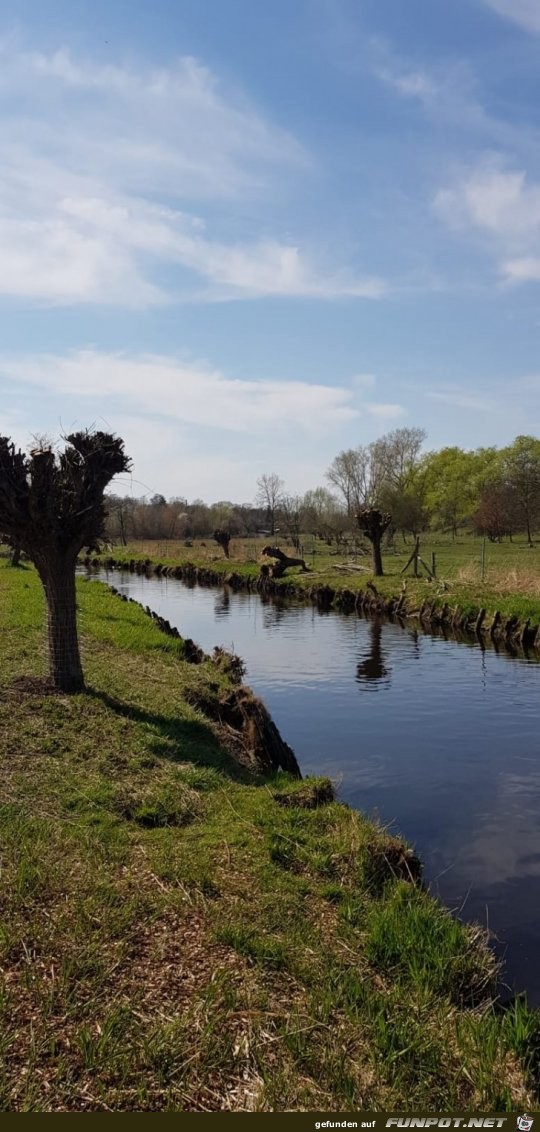 Fruehling am Fluesschen 2