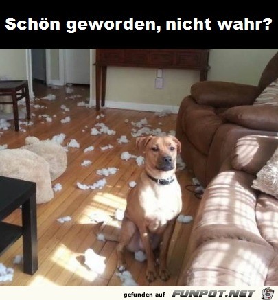 Schn geworden