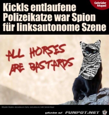 kickls entlaufene Polizeikatze