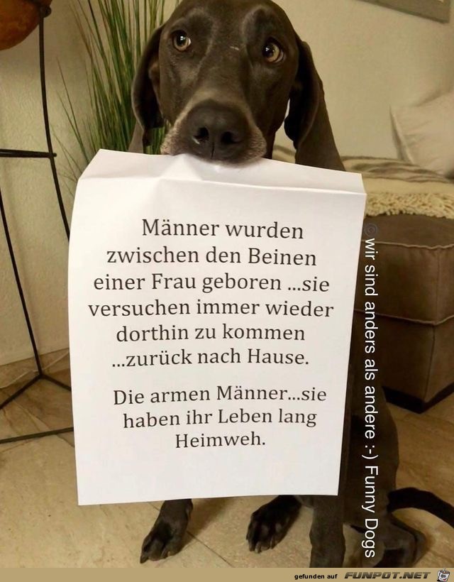 maenner wurden zwischen den Beinen maenner wurden zwischen den Beinen