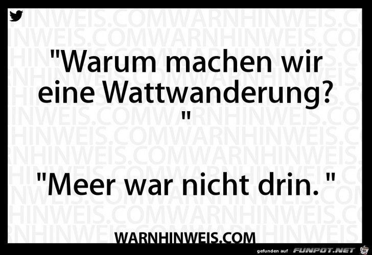Wattwanderung Wattwanderung