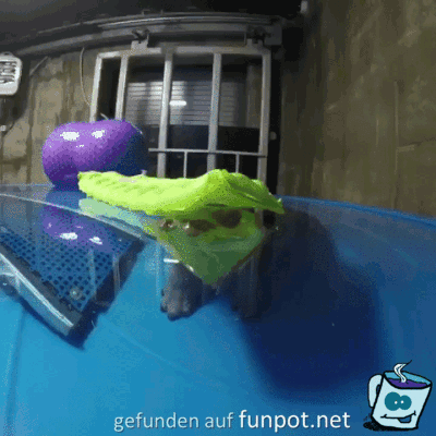 Ich seh euch Ich seh euch