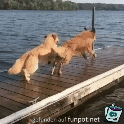 Und ab ins Wasser Und ab ins Wasser