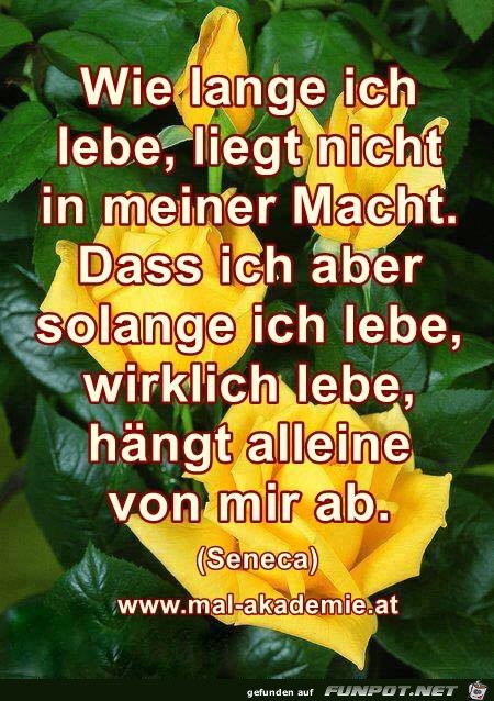 Wie lange ich lebe Wie lange ich lebe