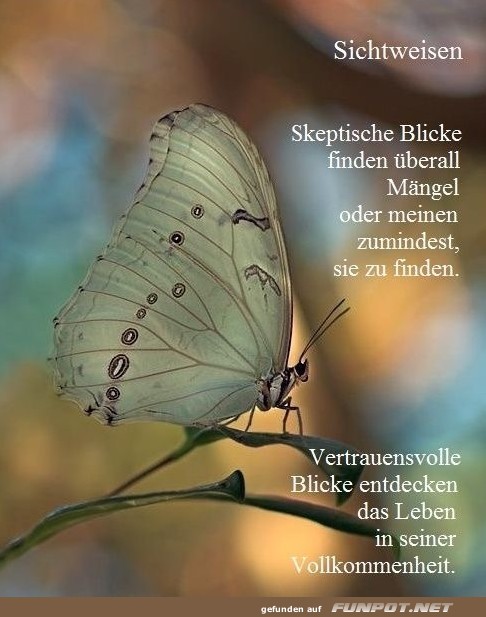 10 sch�ne Spr�che und Lebensweisheiten aus...