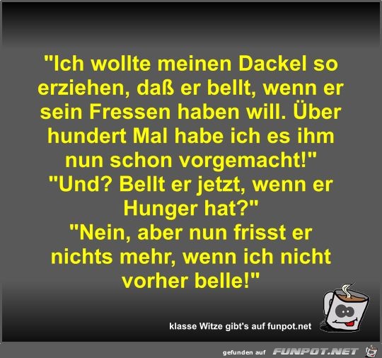 Ich wollte meinen Dackel so erziehen Ich wollte meinen Dackel so erziehen