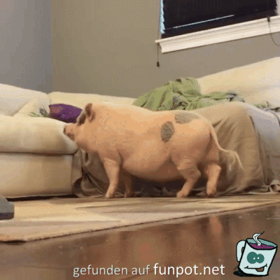 Schnell aufs Sofa Schnell aufs Sofa