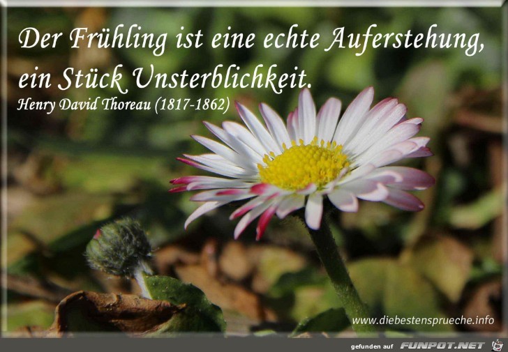 Der Fruehling ist eine echte Auferstehung