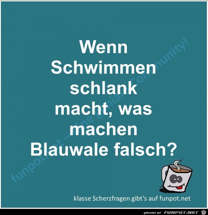 Scherzfrage Scherzfrage