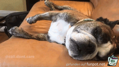 Augen auf Augen auf