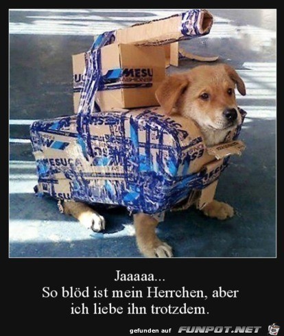 Mein Herrchen Mein Herrchen