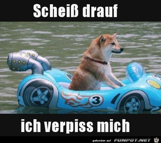 Ich hau ab Ich hau ab