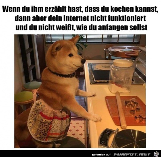 Internet geht nicht