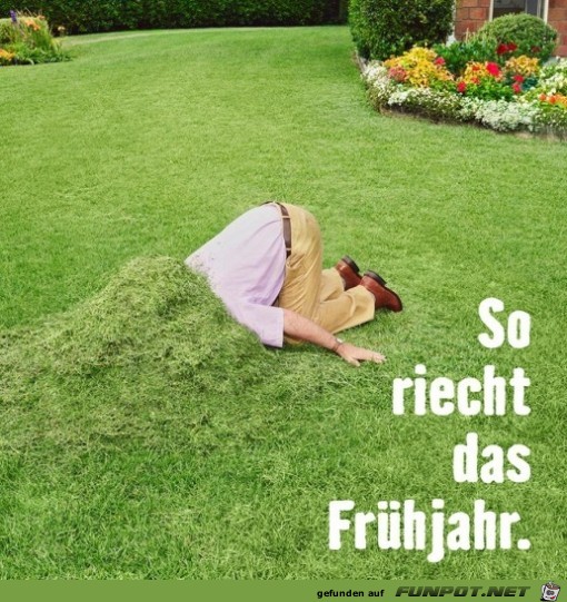 Der Frühling Der Frühling