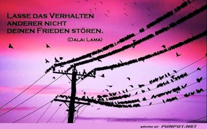 10 sch�ne Spr�che und Lebensweisheiten aus...