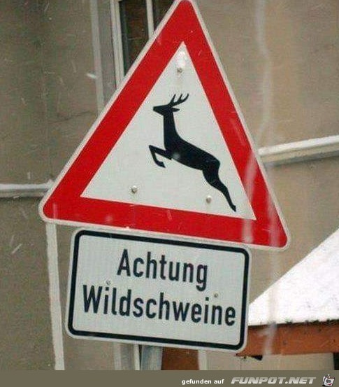 Achtung Wildschweine