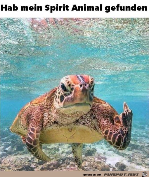 Coole Aufnahme Coole Aufnahme