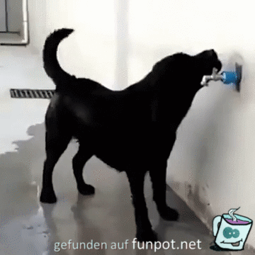 Erst mal duschen Erst mal duschen