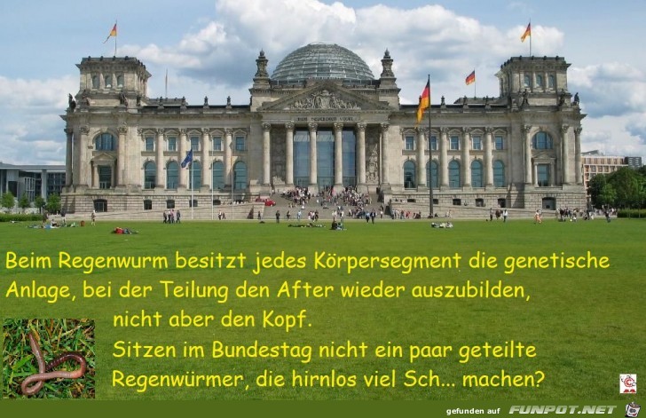 Regenwurm und Bundestag