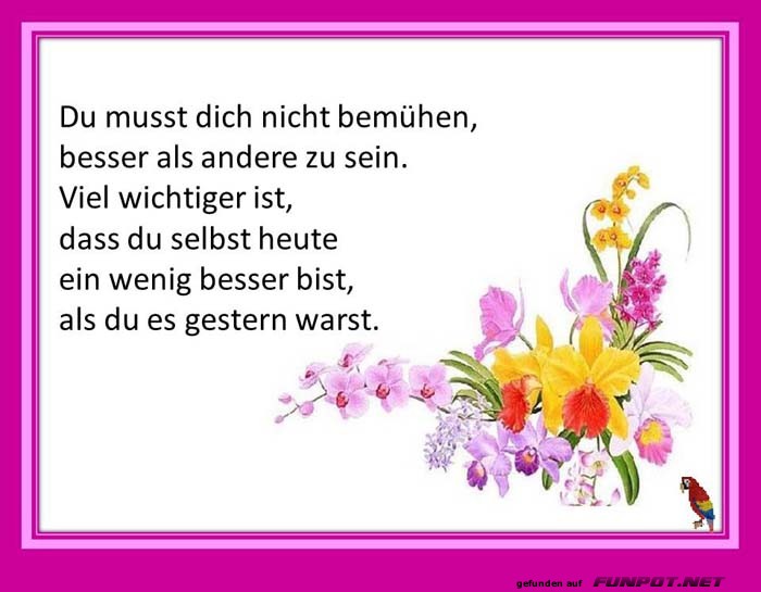 Du musst dich nicht bemuehen Du musst dich nicht bemuehen
