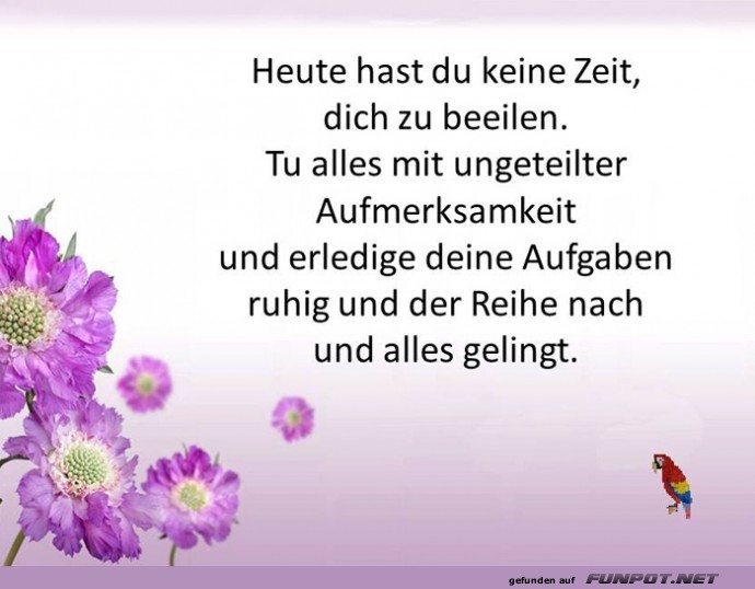 Heute hast du