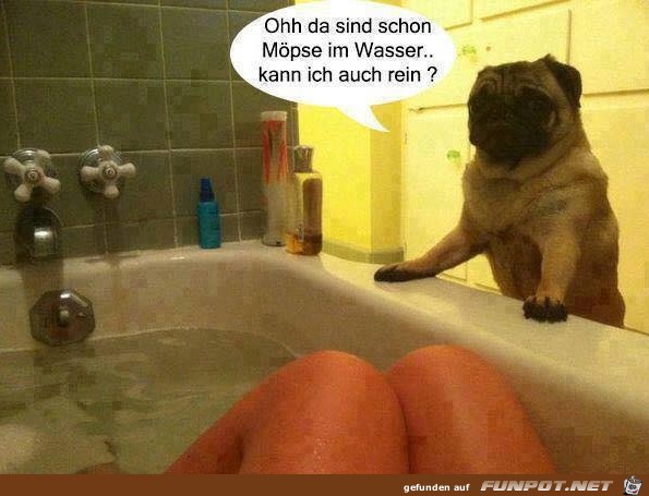 Baden Baden