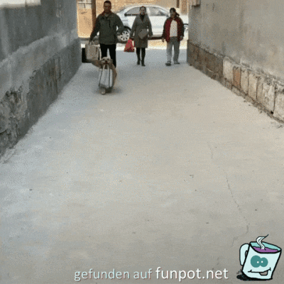 Fleißiger Einkaufshelfer Fleißiger Einkaufshelfer