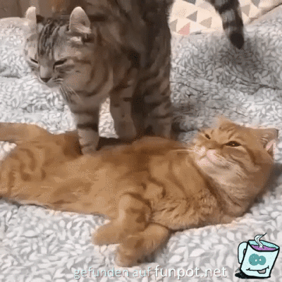 Erst mal eine Massage Erst mal eine Massage