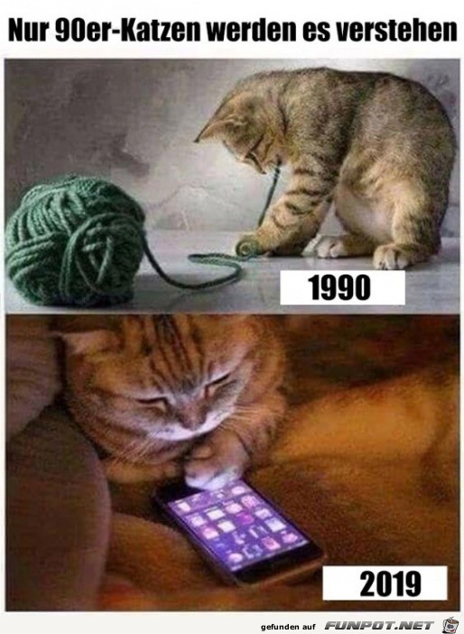 Katzen früher und heute Katzen früher und heute