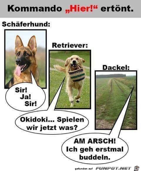 So sind sie