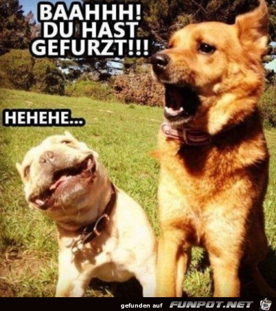 Du hast gefurzt Du hast gefurzt