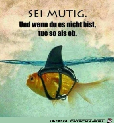 Sei mutig Sei mutig
