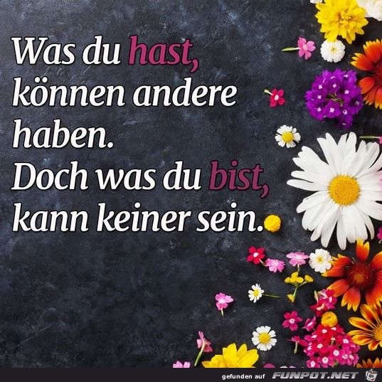 was du hast was du hast