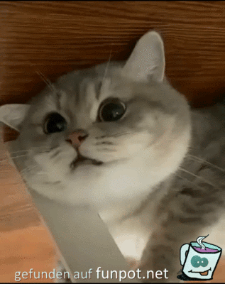 Riesige Augen Riesige Augen