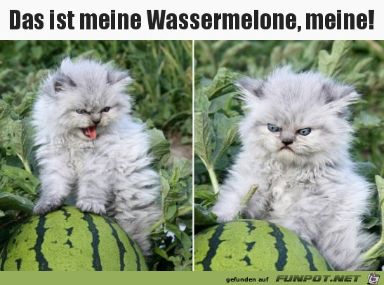 Die gehört mir Die gehört mir