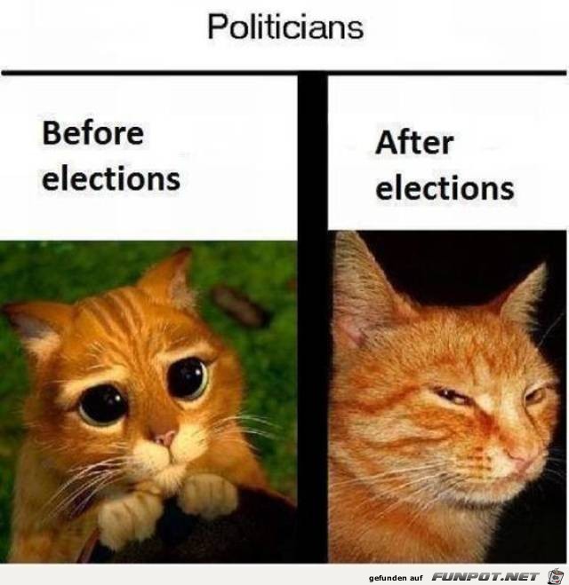 So sind Politiker So sind Politiker