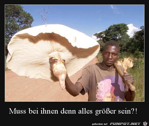 Alles ist größer Alles ist größer