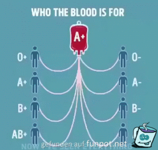 Welche Blutgruppe fr wen?