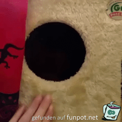 Da wohnt jemand Da wohnt jemand