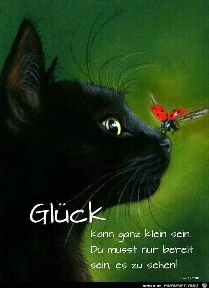 glueck kann ganz klein sein glueck kann ganz klein sein