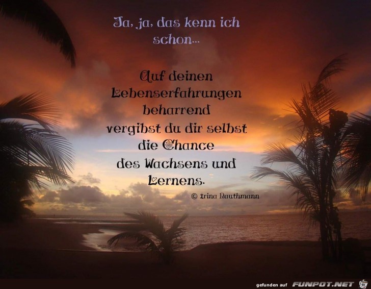 ja ja das kenn ich schon ja ja das kenn ich schon