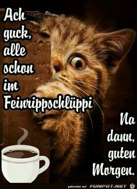 Guten Morgen