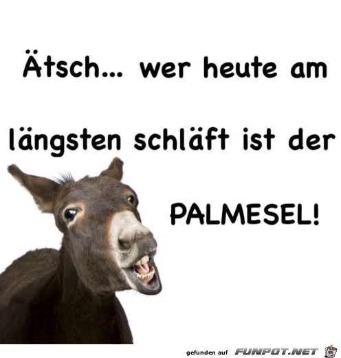 Palmesel